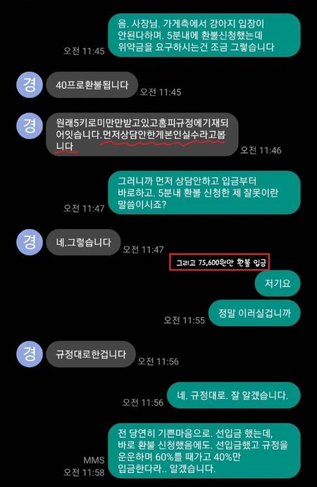 ⓒ보배드림