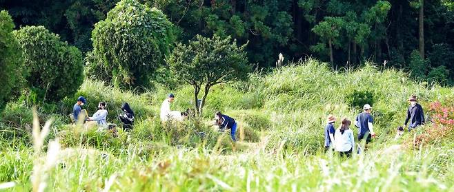 추석 연휴를 앞두고 벌초와 성묘, 농작업 등을 계획하는 사람들이 많다. 서울아산병원은 17일 야산이나 논, 밭 등에서 벌과 뱀, 진드기를 조심해야 한다고 강조했다. 벌에 쏘이거나 뱀이 물릴 수 있고, 털진드기에 물려 쯔쯔가무시병이나 살인진드기에 물려 중증열성혈소판감소증후군(SFTS)에 감염될 수 있기 때문이다. 이런 감염병은 신부전증 같은 심각한 합병증을 일으키기도 한다. 연합뉴스 제공