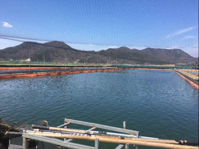 충북 옥천군 청산면 미꾸라지 양식장. 충북도 제공