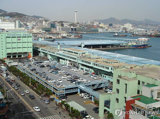 부산공동어시장 전경 [부산공동어시장 제공·재판매 및 DB 금지]