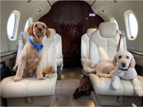 미국 프라이빗 전용기 회사 넷젯(NetJets)의 SNS 캡처