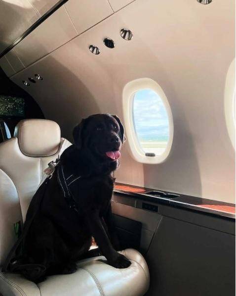 미국 프라이빗 전용기 회사 넷젯(NetJets)의 SNS 캡처