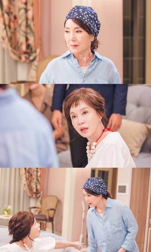 ‘신사와 아가씨’에서 이휘향과 임예진이 둘도 없는 앙숙 케미를 선보인다. 사진 = 지앤지프로덕션