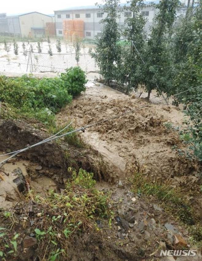 [포항=뉴시스] 강진구 기자 = 지난 8월 24일 집중 호우로 수해 피해를 입은 경북 포항시 죽장면 과수농가.2021.09.21.dr.kang@newsis.com