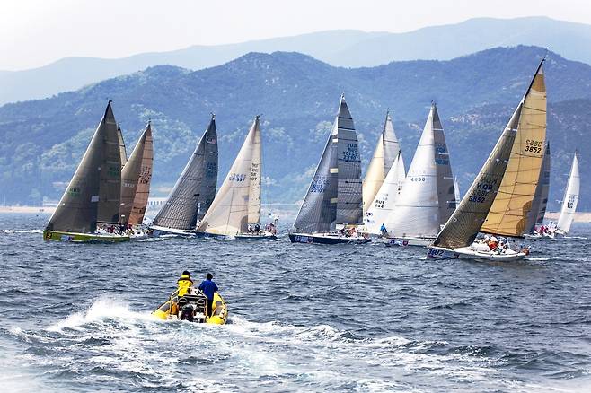 코리아컵 국제요트대회 [울진군 제공. 재판매 및 DB 금지]