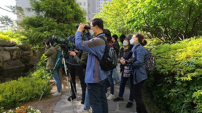 지난 5월9일 아침 7시 서울 강북구 삼양로의 한 고층 아파트에 아파트탐조단 회원 10명이 모여 약 2시간 동안 탐조를 했다. 박임자씨 제공