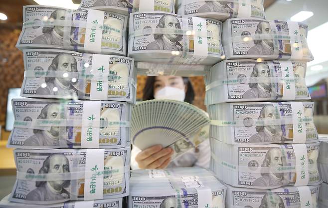 서울 중구 하나은행 본점 위변조대응센터에서 한 직원이 달러를 정리하고 있다.