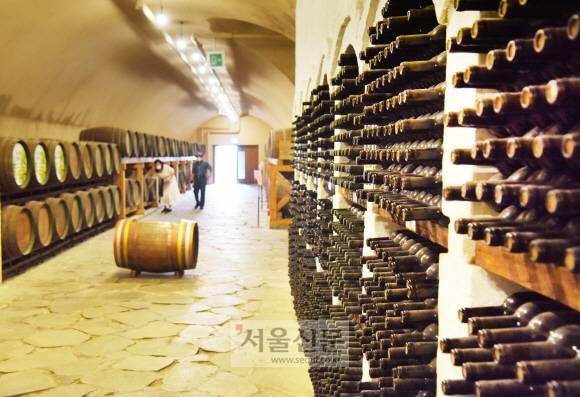 하미앙와인밸리의 산머루 와인들.