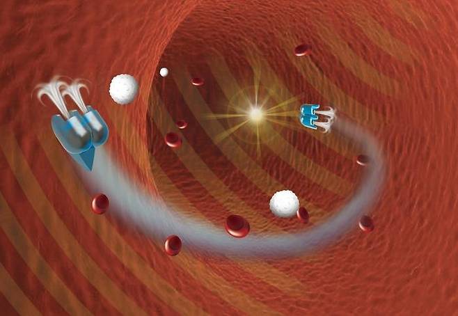 초음파로 움직이는 초소형 유영 로봇 혈관내 이동 상상도  [CORNELL UNIVERSITY 제공/ 재판매 및 DB 금지]