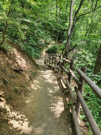 강남7산 종주 초반부인 구룡산 구간. 능선길보다 서울둘레길을 따라가는게 트레일러닝에는 제격이다.