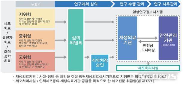 [서울=뉴시스]첨단재생의료 임상연구 위험도 분류체계 및 심의·승인 절차 등 (사진=식품의약품안전처 제공)