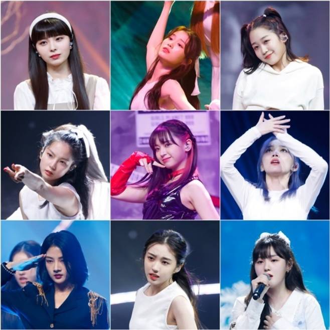 티브이데일리 포토