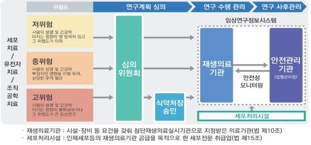 첨단재생의료 임상연구 위험도 분류체계 및 심의·승인 절차 [식품의약품안전처 제공. 재판매 및 DB 금지]