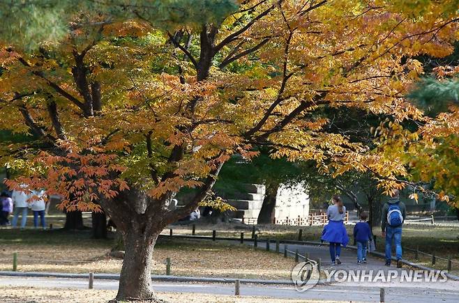 가을 나들이하는 시민들 [연합뉴스 자료사진]