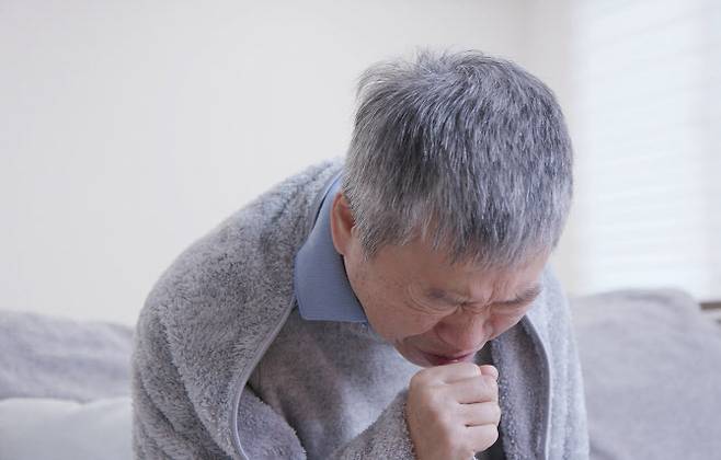 출처 게티이미지뱅크