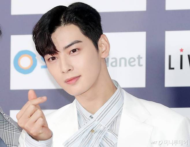 그룹 아스트로 차은우/사진=머니투데이 DB