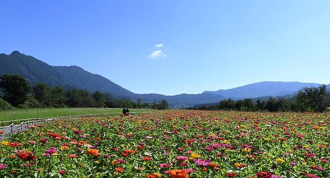 25일은 동해안 일부 지역을 제외한 전국이 맑은 날씨다. 사진은 지난 23일 경남 거창군 가조면 가조온천지구내 모습. /사진=뉴스1(거창군 제공)