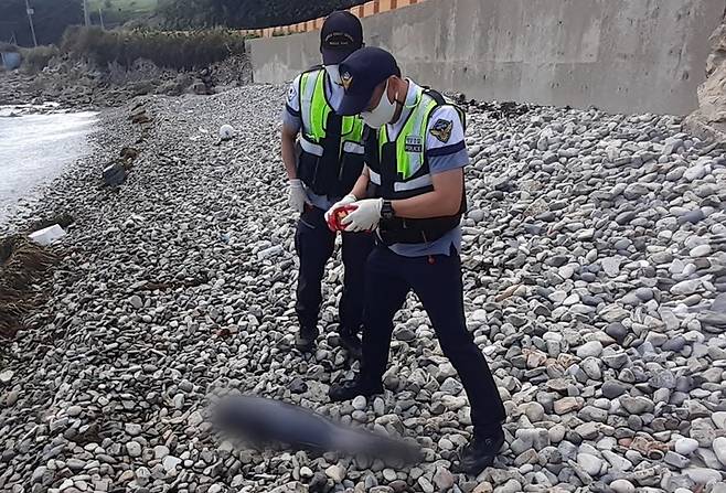 ⓒ제주해양경찰서 *재판매 및 DB 금지