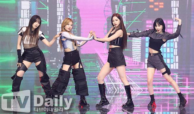 티브이데일리 포토