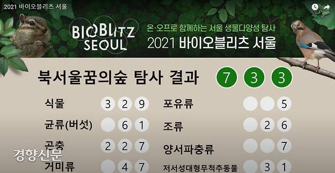 25일북서울꿈의숲에서 열린 ‘2021 바이오블리츠 서울’탐사 결과. 서울 바이오블리츠 유튜브 갈무리.