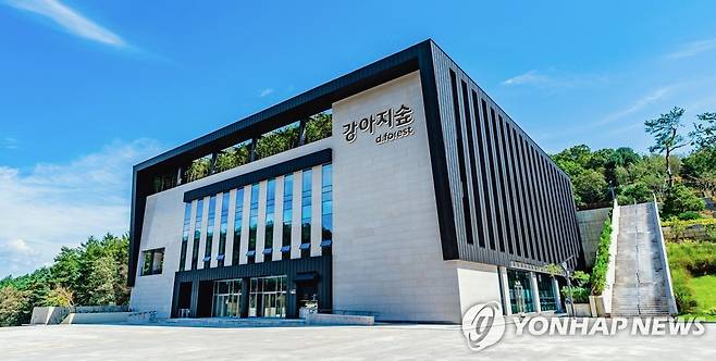 반려견 테마파크 [강아지숲 제공.재판매 및 DB 금지]