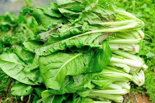 [사진=게티이미지뱅크]