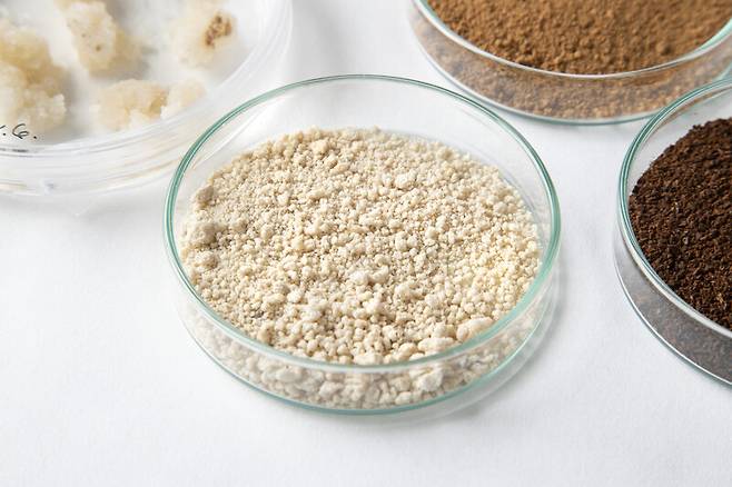 세포 배양으로 만든 커피를 건조시킨 분말. VTT기술연구센터 제공