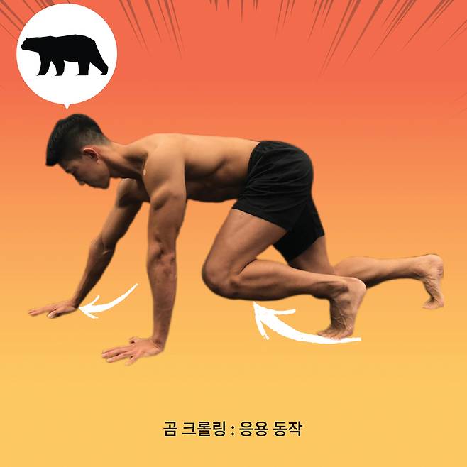 전신 근력 운동 2.