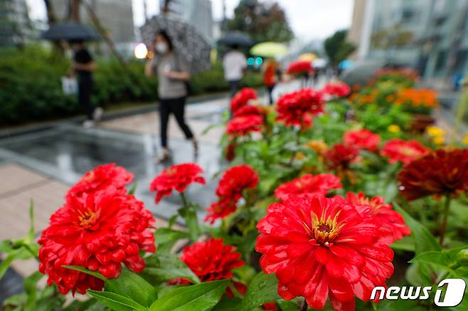 우산 쓴 시민들이 출근을 하고 있다. /뉴스1 © News1 안은나 기자