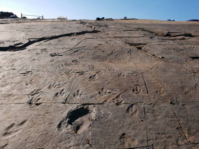 ▲‘진주 정촌면 백악기 공룡·익룡발자국 화석 산지’가 국가지정문화재 천연기념물 제566호로 지정 확정됐다.ⓒ진주시