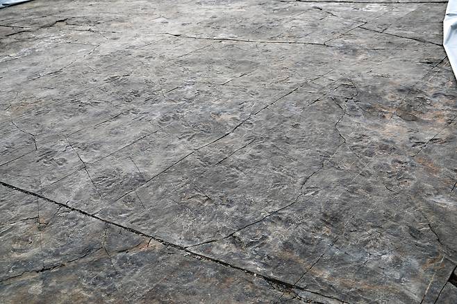 천연기념물로 지정된 진주 정촌면 백악기 공룡·익룡발자국화석 산지