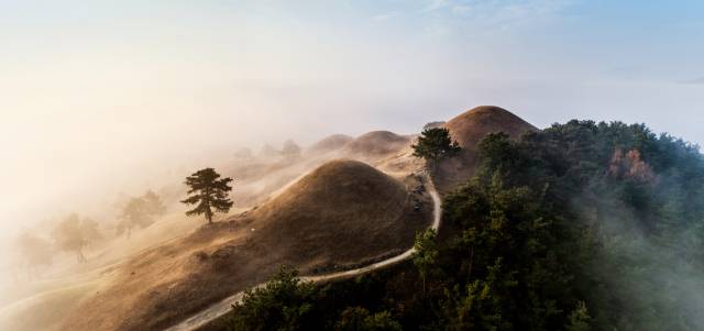 경북 고령군 지산동고분군 봉분 위로 물안개가 가득하다. 사진에 보이는 산책로는 역순으로 705호부터 1호 고분까지 총 1.2㎞로 대가야읍을 내려다보며 가벼운 산책을 즐길 수 있다./사진 제공=고령군청