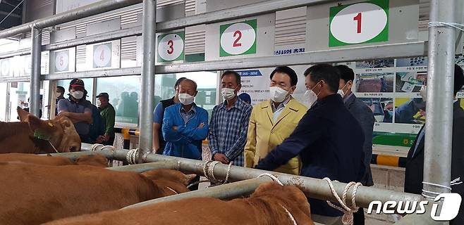 장흥축협 우시장에서 29일 한우 수정란 이식으로 생산한 혈통송아지가 경매에 나와 최고가를 기록했다.(장흥군 제공)2021.9.29/뉴스1