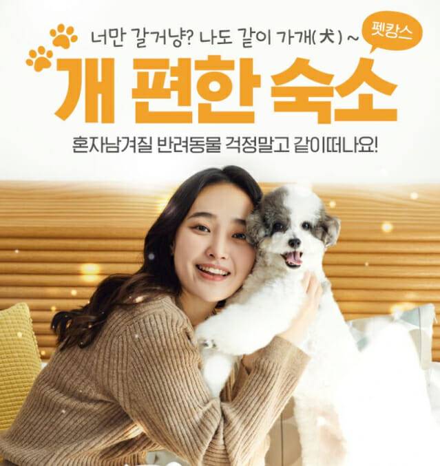 [인터파크투어]개편한숙소 펫캉스 이미지