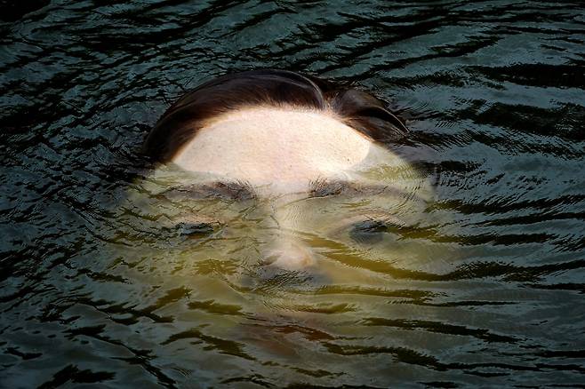 스페인 빌바오 네르비온 강에 설치된 조형물. / 로이터연합뉴스