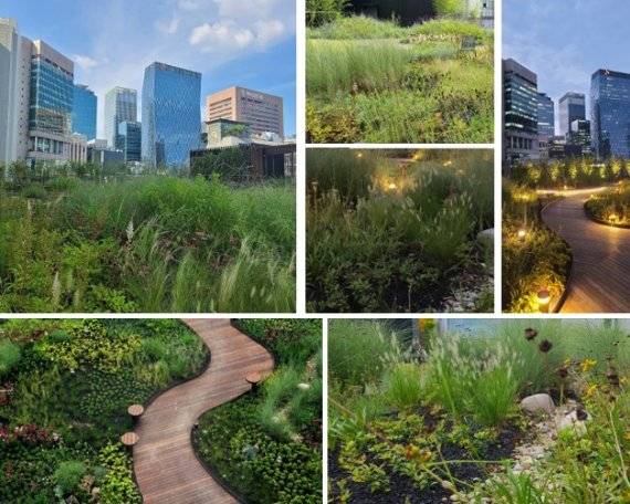 녹녹 타임워크명동 /사진=앤로지즈