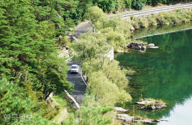 척야산문화수목에서 내려다보이는 용호강과 휘어진 마을 도로. 버드나무가 운치를 더한다.