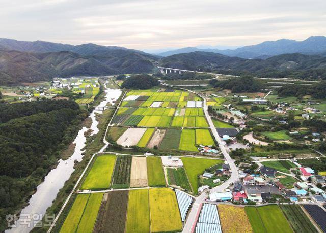 동창마을 들판에 가을이 살포시 내려앉았다.
