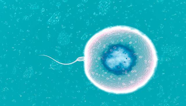 클립아트코리아