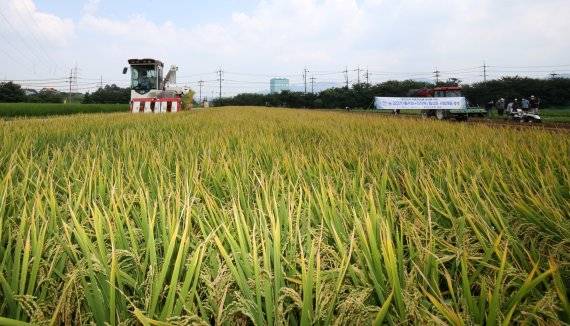 고령 농업인의 노후생활 보장을 위해 농지를 담보로 연금을 지급하는 농지연금 중도해지율이 30%에 달하는 것으로 나타났다. 사진=뉴스1