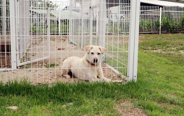 지난해 6월 햇님의 모습. 연합뉴스는 당시 햇님이가 코로나19로 휴관이 장기화되면서 찾는 사람이 없이 외로운 시간을 보내고 있다고 보도했다. 연합뉴스