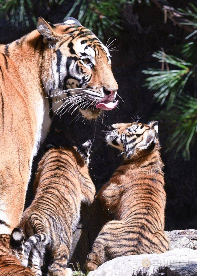 "엄마 물 맛있어?"