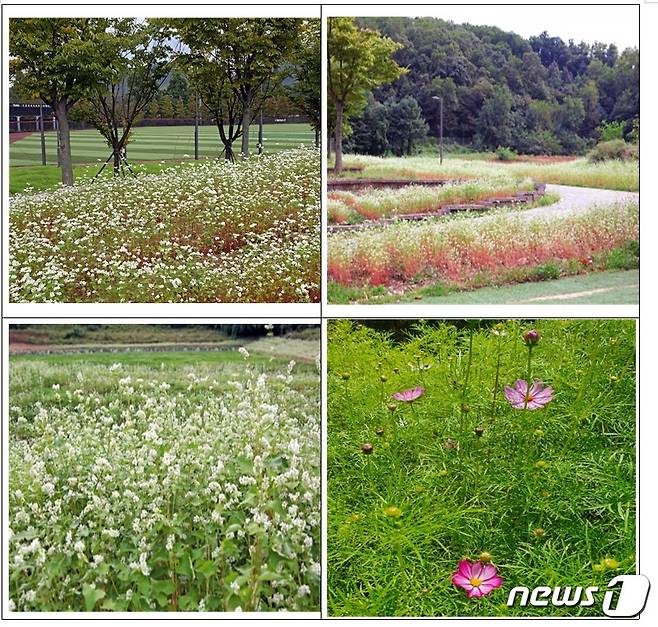 (서울대공원제공)© 뉴스1