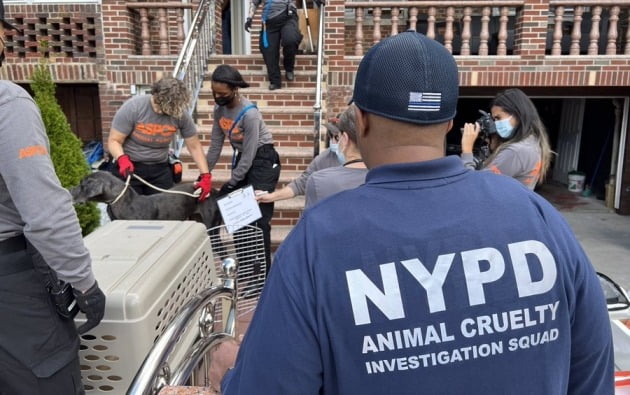아파트 철창에 방치된 개를 구조하는 뉴욕경찰(NYPD)과 비영리단체 미국동물학대방지협회(ASPCA). /사진=뉴욕경찰(NYPD) 트위터