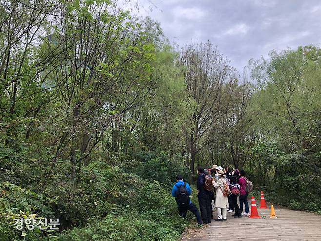 지난 답사에서 만나지 못했던 거지덩굴을 발견한 뒤 오병훈 고문의 설명을 듣고 있는 한국식물연구회 회원들.