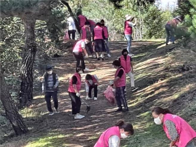 경산시 경로당행복도우미는 동부동 솔숲 구릉공원에서 가을맞이 자연정화 및 환경정비 활동을 펼쳤다. (경산시 제공) 2021.10.01