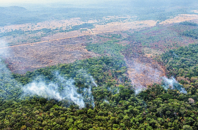 탈산림화로 인해 아마존 열대우림 일부가 불타는 모습. 게티이미지뱅크.