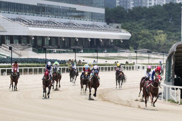 서울경마공원의 텅 빈 관중석을 배경으로 경주마들이 질주하고 있다. 한국마사회는 9월 29일 72번째 창립기념일을 맞았지만 지난해에 이어 올해도 창립일과 관련된 행사를 진행하지 않는다. 사진제공 l 한국마사회