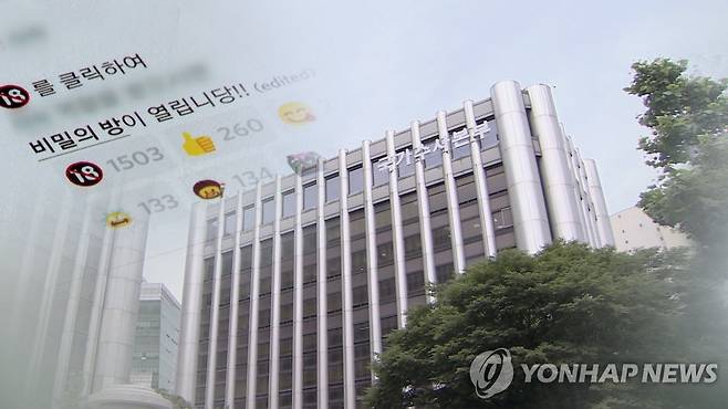 아동청소년 디지털성범죄 위장수사 본격 시행 (CG) [연합뉴스TV 제공]