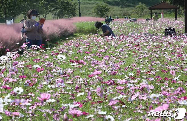 오는 4일까지 이어지는 개천절 연휴 사흘 동안 전북지역은 대체로 맑겠다.2021.10.2/뉴스1 © News1 정우용 기자